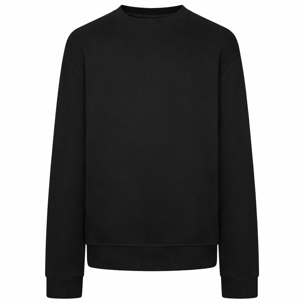 WHS Sweatshirt Unbranded (optional)