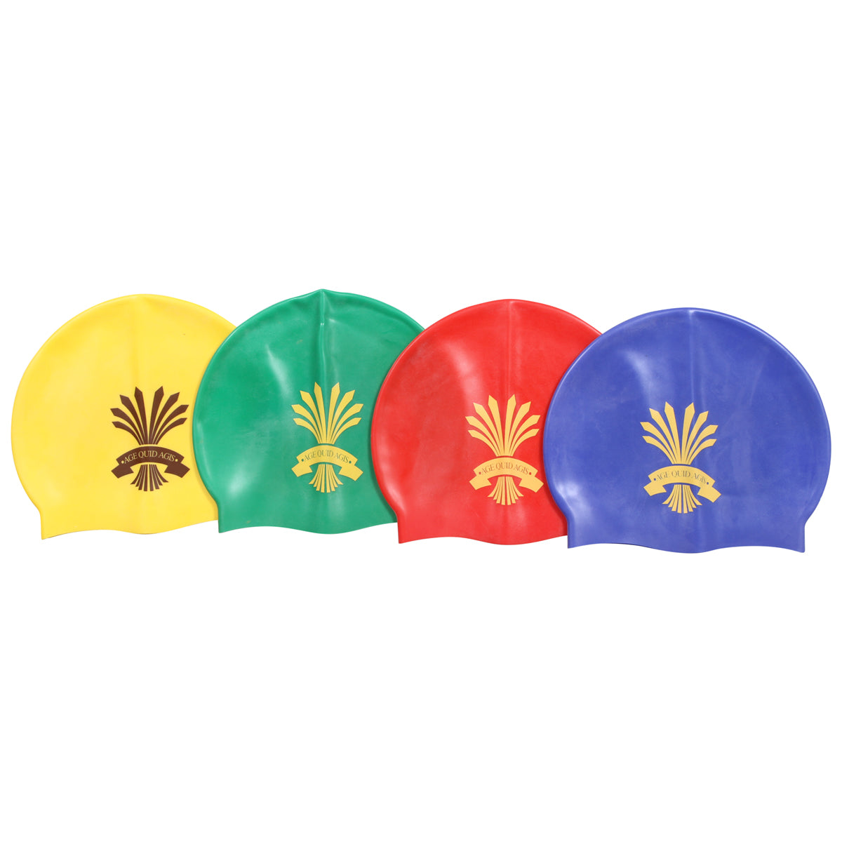PHS House Swim Cap