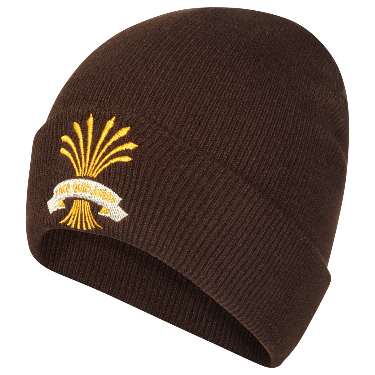 PHS Beanie Hat